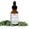 Wormwood Extract Organic